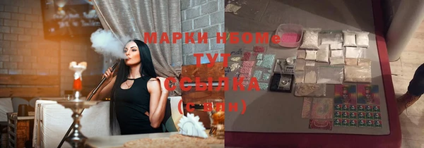 тгк Абаза