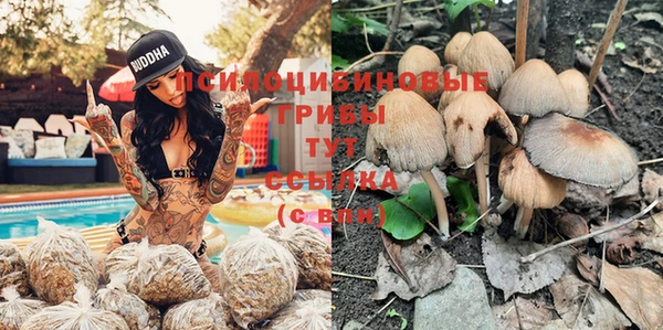 PSILOCYBIN Алексеевка
