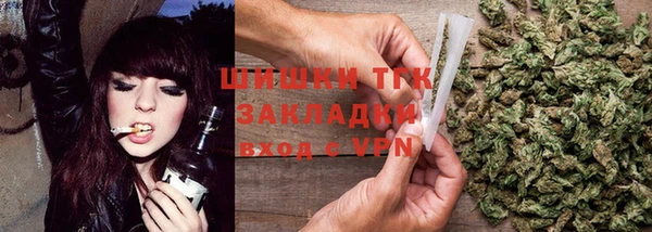 тгк Абаза