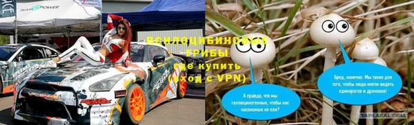 PSILOCYBIN Алексеевка